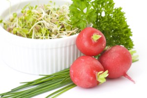 ???????????????????????????????????????????????????????????????????????????????????